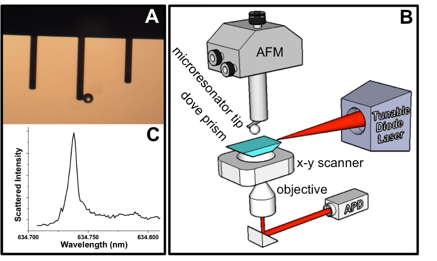 SRM tip